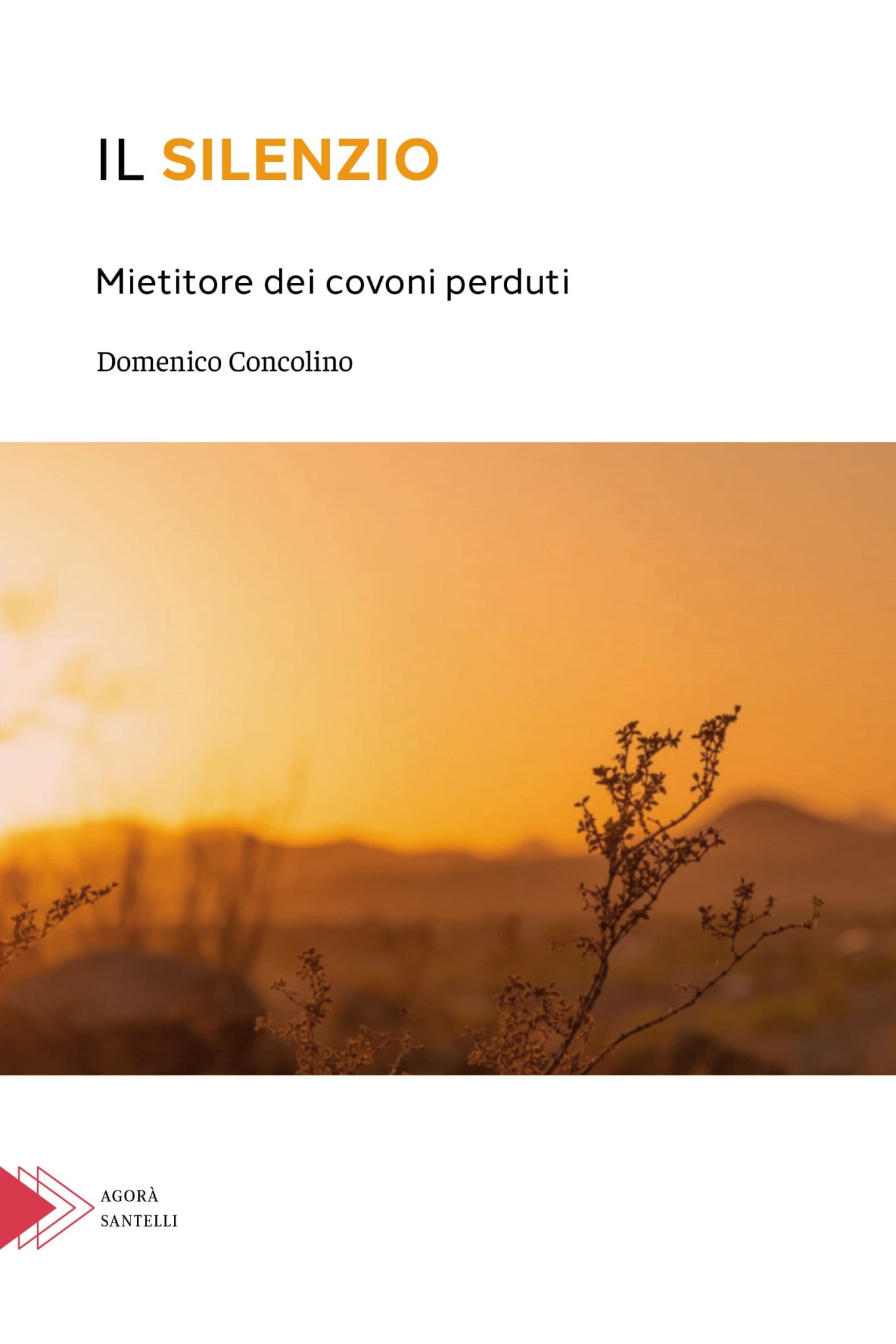 Il silenzio